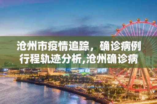 沧州市疫情追踪，确诊病例行程轨迹分析,沧州确诊病例行程轨迹