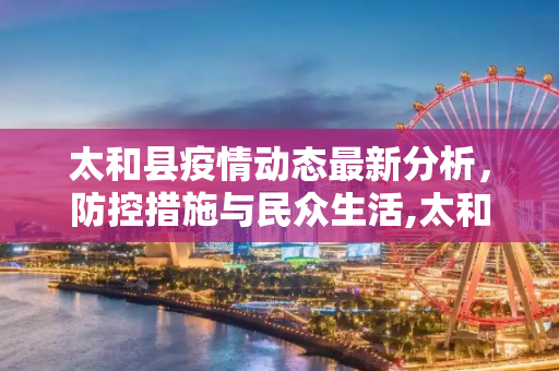 太和县疫情动态最新分析，防控措施与民众生活,太和疫情动态最新