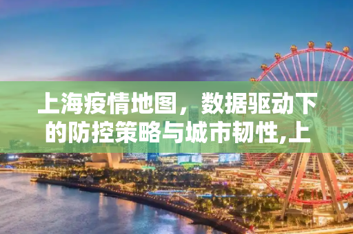 上海疫情地图，数据驱动下的防控策略与城市韧性,上海疫情地图
