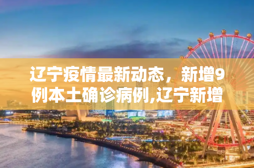 辽宁疫情最新动态，新增9例本土确诊病例,辽宁新增9例本土确诊病例