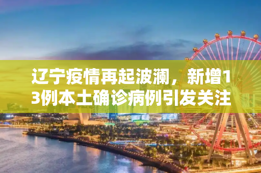 辽宁疫情再起波澜，新增13例本土确诊病例引发关注,辽宁新增13例本土确诊