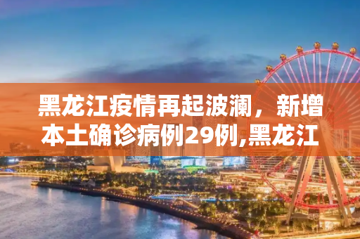 黑龙江疫情再起波澜，新增本土确诊病例29例,黑龙江新增本土确诊病例29例