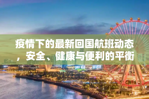 疫情下的最新回国航班动态，安全、健康与便利的平衡,最新回国航班疫情
