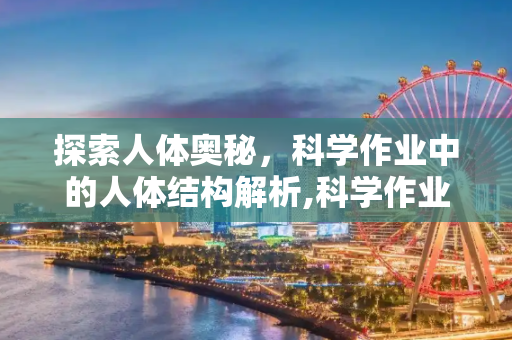 探索人体奥秘，科学作业中的人体结构解析,科学作业人体结构