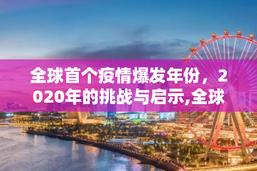 全球首个疫情爆发年份，2020年的挑战与启示,全球首个疫情爆发年份