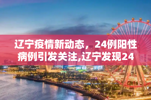 辽宁疫情新动态，24例阳性病例引发关注,辽宁发现24例阳性