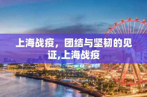 上海战疫，团结与坚韧的见证,上海战疫