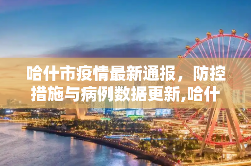 哈什市疫情最新通报，防控措施与病例数据更新,哈什疫情最新通报