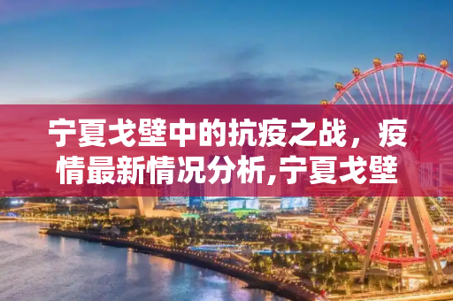 宁夏戈壁中的抗疫之战，疫情最新情况分析,宁夏戈壁疫情最新情况