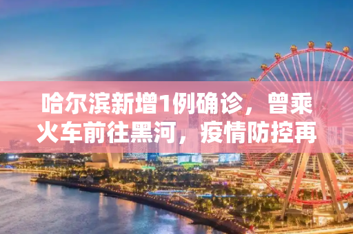 哈尔滨新增1例确诊，曾乘火车前往黑河，疫情防控再敲警钟,哈尔滨新增1例确诊曾乘火车到黑河