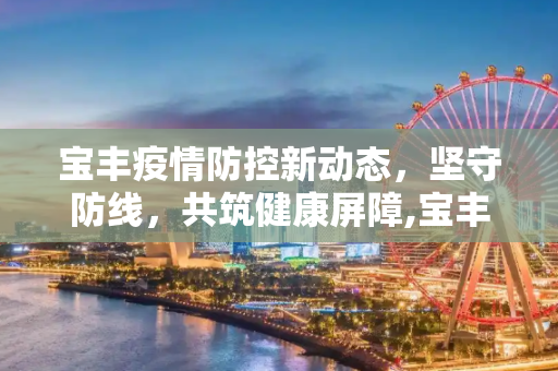 宝丰疫情防控新动态，坚守防线，共筑健康屏障,宝丰疫情防控消息最新