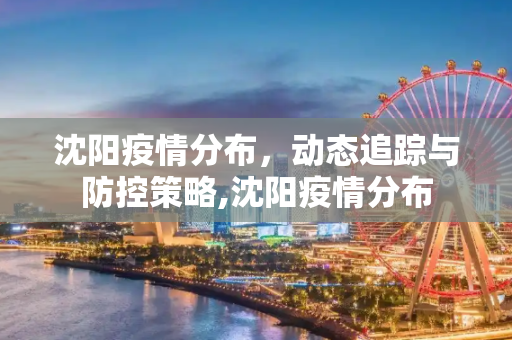 沈阳疫情分布，动态追踪与防控策略,沈阳疫情分布