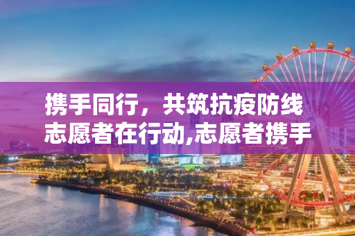 携手同行，共筑抗疫防线 志愿者在行动,志愿者携手共筑抗疫防线