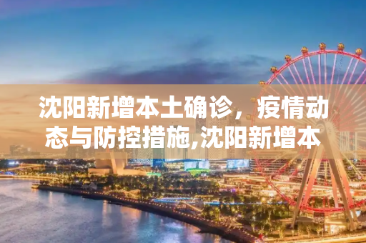 沈阳新增本土确诊，疫情动态与防控措施,沈阳新增本土确诊