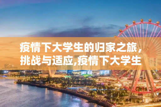 疫情下大学生的归家之旅，挑战与适应,疫情下大学生归家之旅