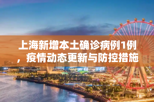 上海新增本土确诊病例1例，疫情动态更新与防控措施,关于上海新增本土确诊1例的信息