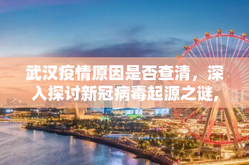 武汉疫情原因是否查清，深入探讨新冠病毒起源之谜,武汉疫情原因是否查清