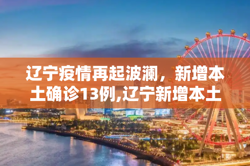 辽宁疫情再起波澜，新增本土确诊13例,辽宁新增本土确诊13例