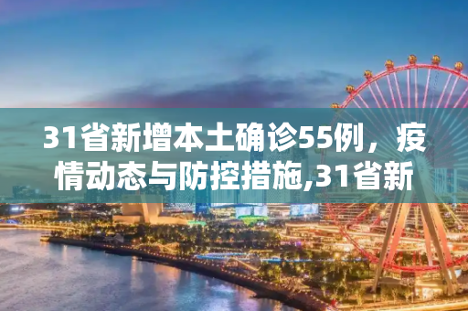 31省新增本土确诊55例，疫情动态与防控措施,31省新增本土确诊55例