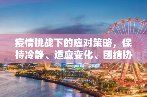 疫情挑战下的应对策略，保持冷静、适应变化、团结协作,如何应对突如其来的疫情挑战？