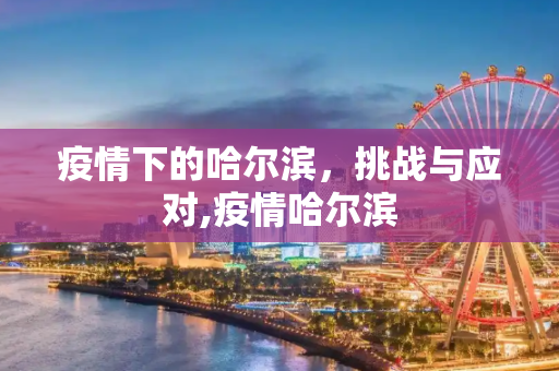 疫情下的哈尔滨，挑战与应对,疫情哈尔滨