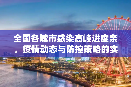 全国各城市感染高峰进度条，疫情动态与防控策略的实时追踪,全国各城市感染高峰进度条