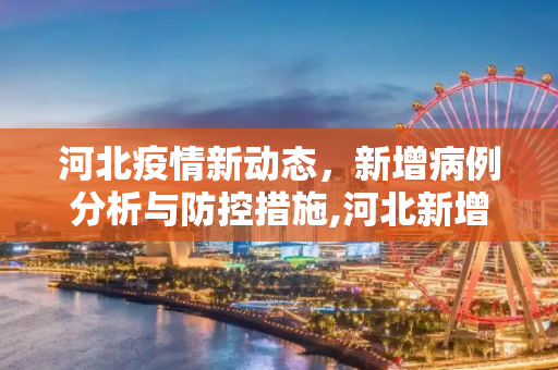 河北疫情新动态，新增病例分析与防控措施,河北新增