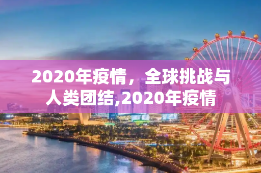 2020年疫情，全球挑战与人类团结,2020年疫情