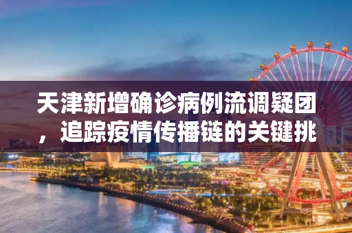 天津新增确诊病例流调疑团，追踪疫情传播链的关键挑战,天津新增确诊病例流调疑团