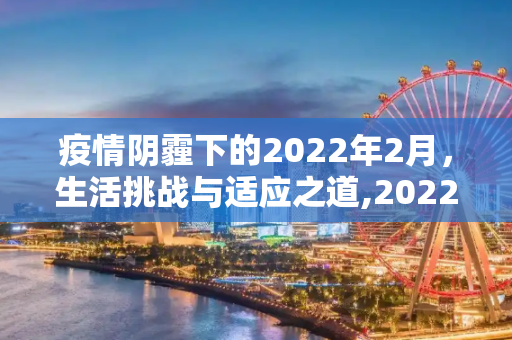 疫情阴霾下的2022年2月，生活挑战与适应之道,2022年2月疫情下的生活与挑战