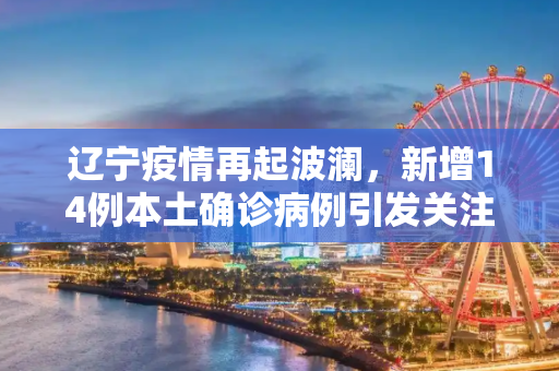 辽宁疫情再起波澜，新增14例本土确诊病例引发关注,辽宁新增14例本土确诊病例