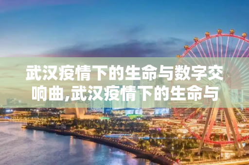 武汉疫情下的生命与数字交响曲,武汉疫情下的生命与数字交响曲