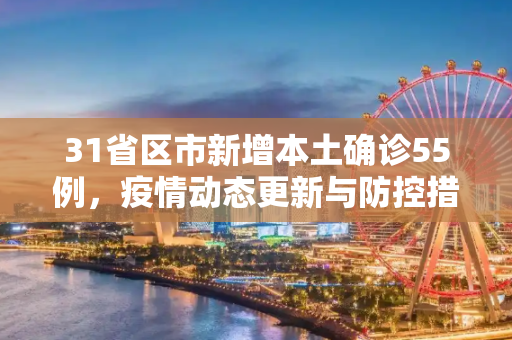 31省区市新增本土确诊55例，疫情动态更新与防控措施,31省区市新增本土确诊55例