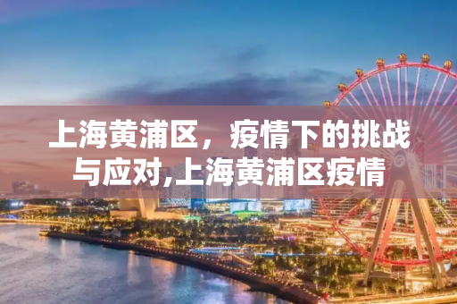 上海黄浦区，疫情下的挑战与应对,上海黄浦区疫情
