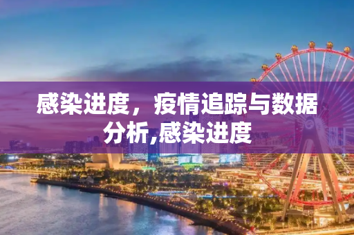 感染进度，疫情追踪与数据分析,感染进度