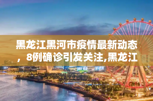 黑龙江黑河市疫情最新动态，8例确诊引发关注,黑龙江黑河已有8例确诊