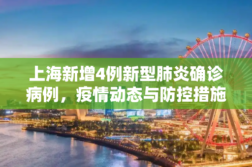 上海新增4例新型肺炎确诊病例，疫情动态与防控措施,包含上海新增4例新型肺炎确诊病例的词条