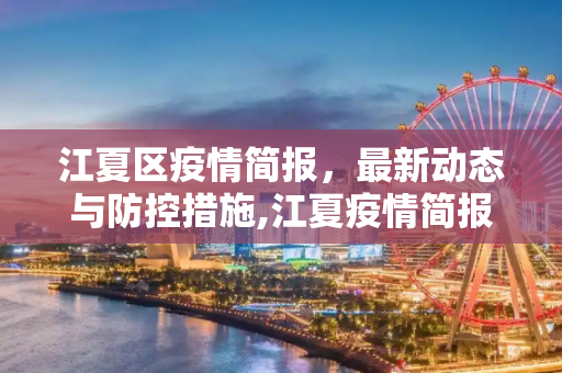江夏区疫情简报，最新动态与防控措施,江夏疫情简报最新