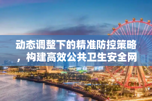 动态调整下的精准防控策略，构建高效公共卫生安全网,动态调整下的精准防控策略