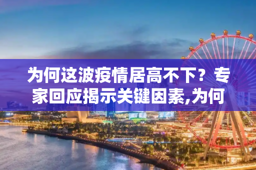 为何这波疫情居高不下？专家回应揭示关键因素,为何这波疫情居高不下?回应