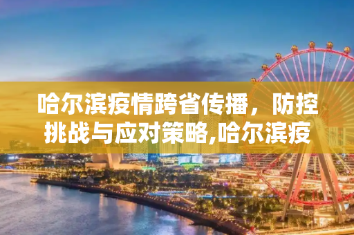 哈尔滨疫情跨省传播，防控挑战与应对策略,哈尔滨疫情跨省传播