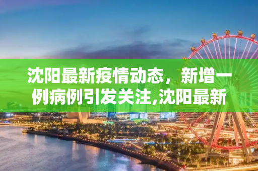 沈阳最新疫情动态，新增一例病例引发关注,沈阳最新疫情又新增一例