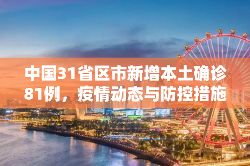 中国31省区市新增本土确诊81例，疫情动态与防控措施,31省区市新增本土确诊81例