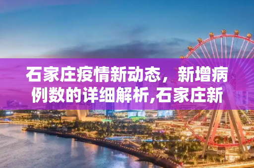 石家庄疫情新动态，新增病例数的详细解析,石家庄新增