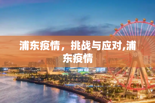 浦东疫情，挑战与应对,浦东疫情
