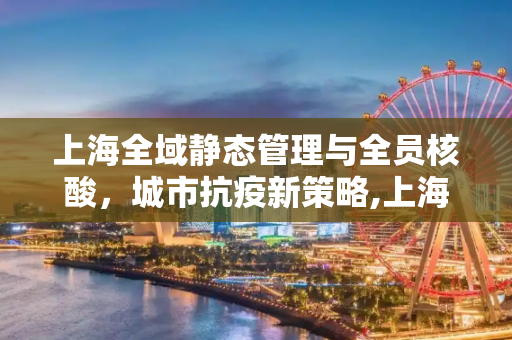 上海全域静态管理与全员核酸，城市抗疫新策略,上海全域静态管理全员核酸