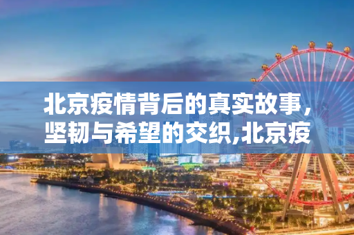 北京疫情背后的真实故事，坚韧与希望的交织,北京疫情背后的真实故事