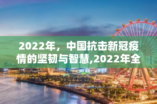 2022年，中国抗击新冠疫情的坚韧与智慧,2022年全国疫情回顾