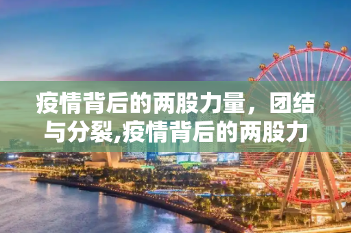 疫情背后的两股力量，团结与分裂,疫情背后的两股力量