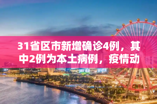 31省区市新增确诊4例，其中2例为本土病例，疫情动态与防控措施,31省区市新增确诊4例2例为本土